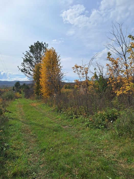 Продаётся дача в Заливе Иртыша