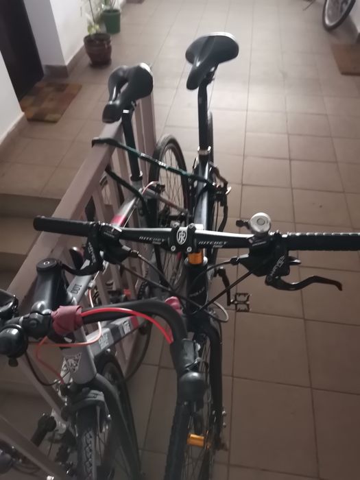 Bicicleta  de oras