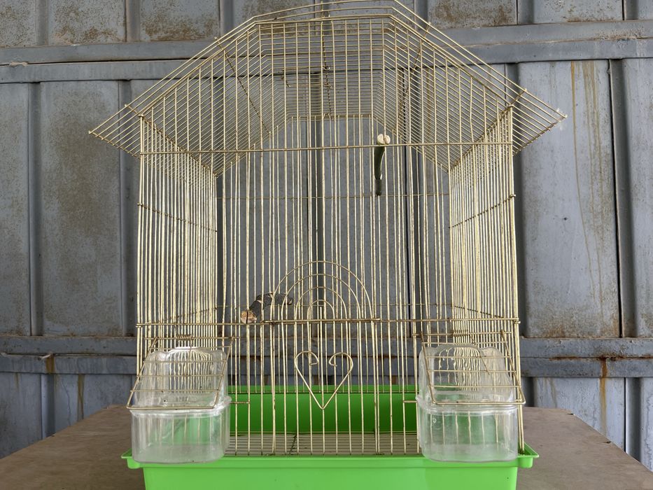 Продаются клетки для птиц