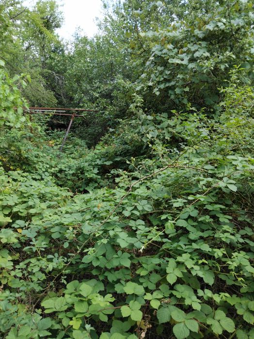 Продава се Парцел в с. Долно Камарци, Област София-област - 1148 кв.м за 14 €/кв.м - Снимка #4