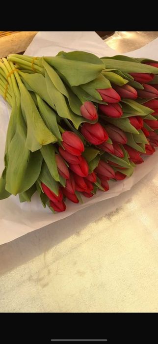 ТЮЛЬПАНЫ Оптом и в розницу