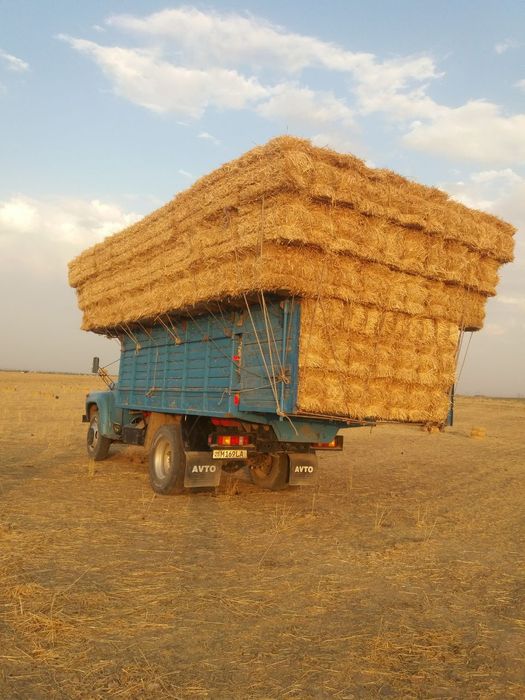 Zil bartavoy sotiladi