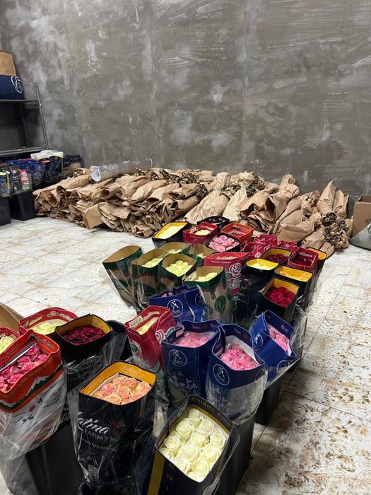 Брат свежие тюльпаны большие