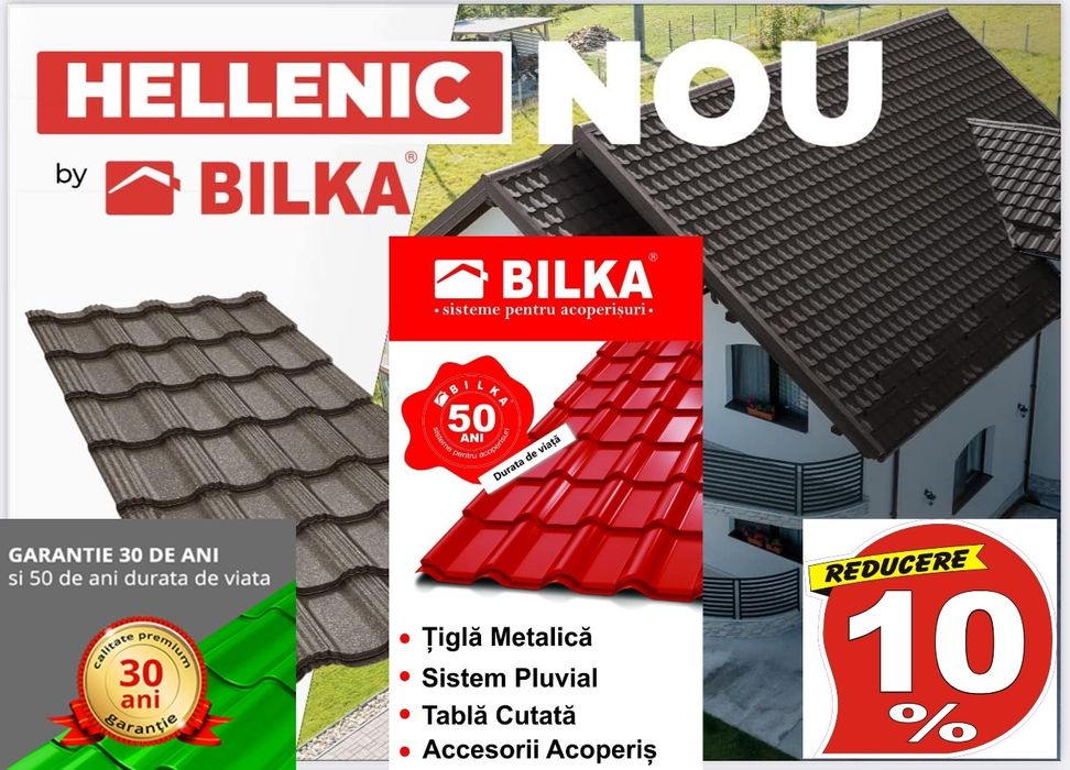 Acoperisurii/Reparatii/Dulgherie/Masardari/Modificari /vopsit tabla.