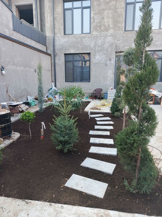 Gul va archa gazon ekish mevali darxtlar  ekish xizmati