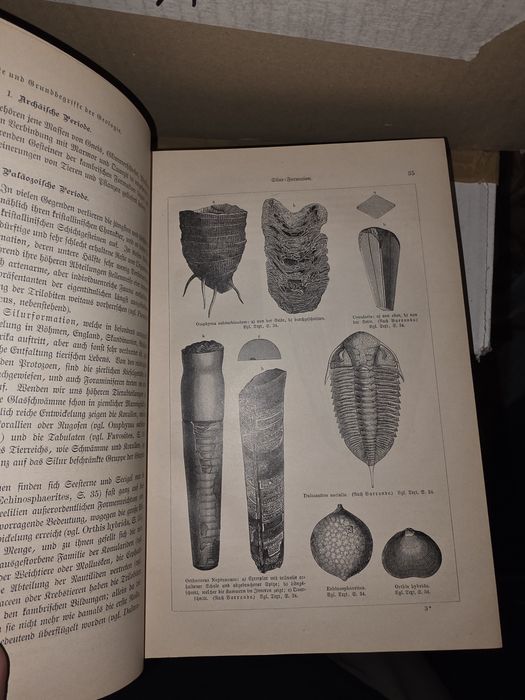 История на Земята Erdgeschichte от Мелхиор Ноймайер 1895