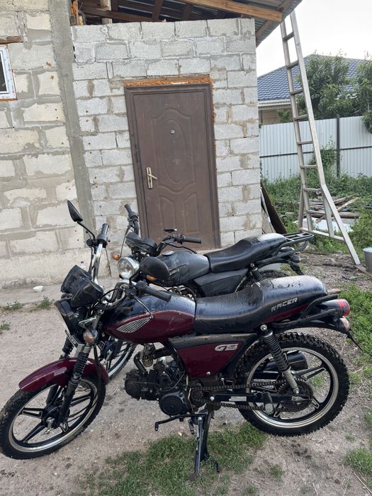 Alpha racer и almotor