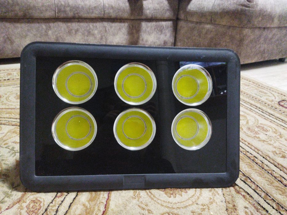 Свето диот с шестью диотами