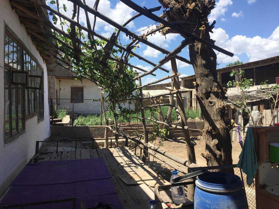 хожели районы хорезм кошеси 19 уй сатылады.