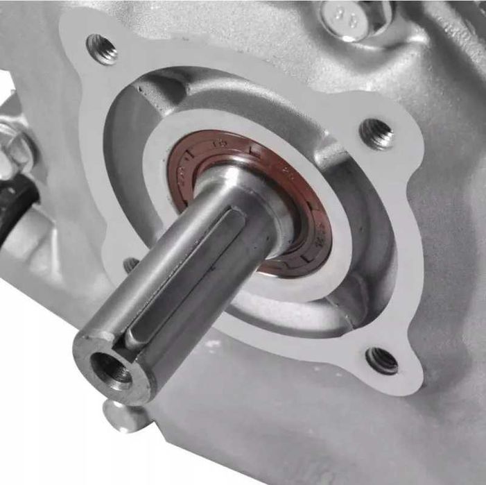 Motorul pe benzina WOLFSON® GTX-200  7 CP .