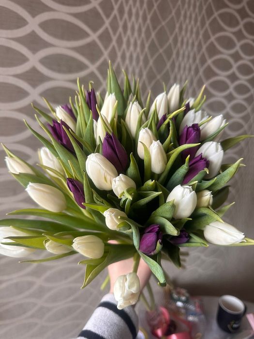 Тюльпаны оптом Алматы