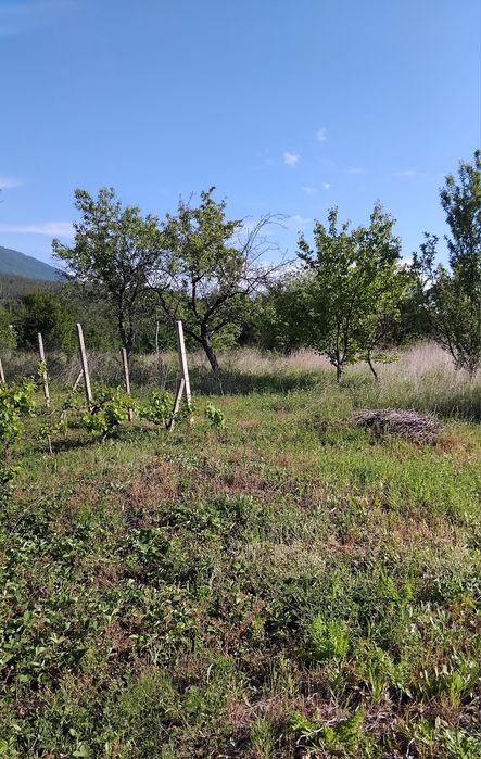 Продава се Парцел в Дупница - 950 кв.м за 45 €/кв.м - Снимка #1