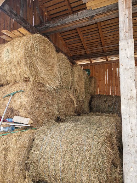 Baloti de fân de vânzare