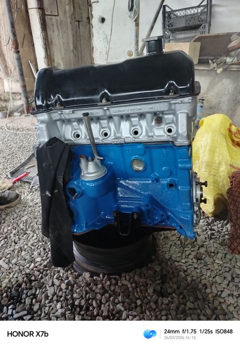 Juguli matorlar 03 06 3.7 terilgan sotiladi