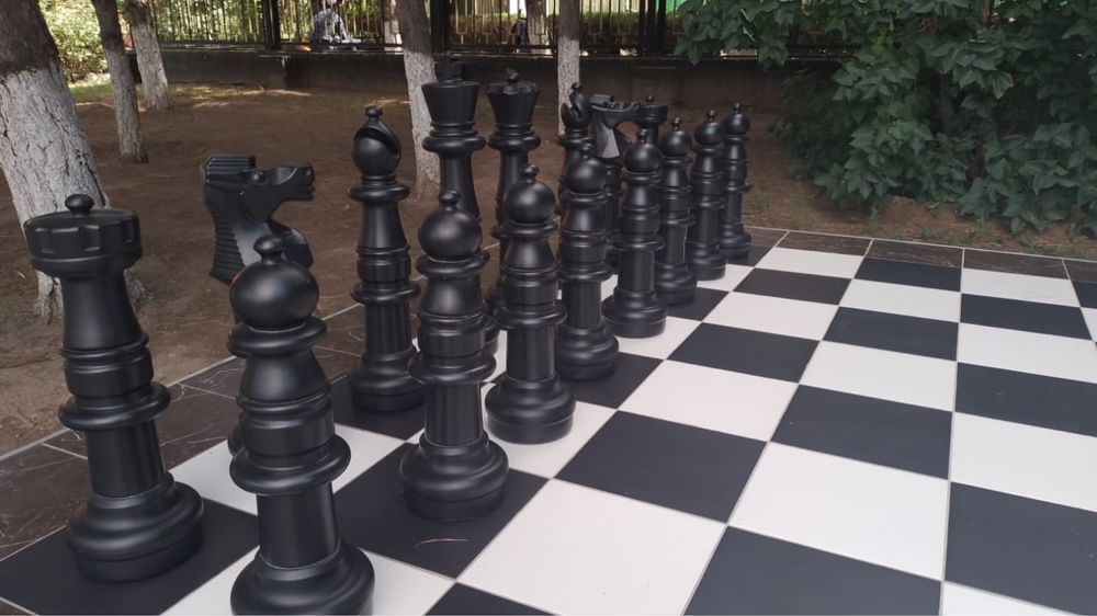Шахматы парковые большие