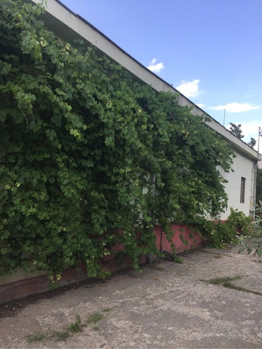 Vand casa mare si teren in Tarnaveni