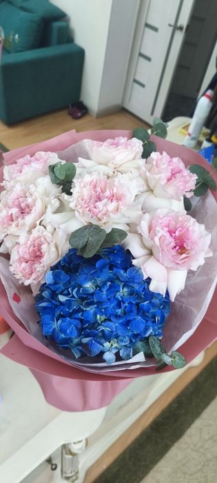 Продам цветы срочно