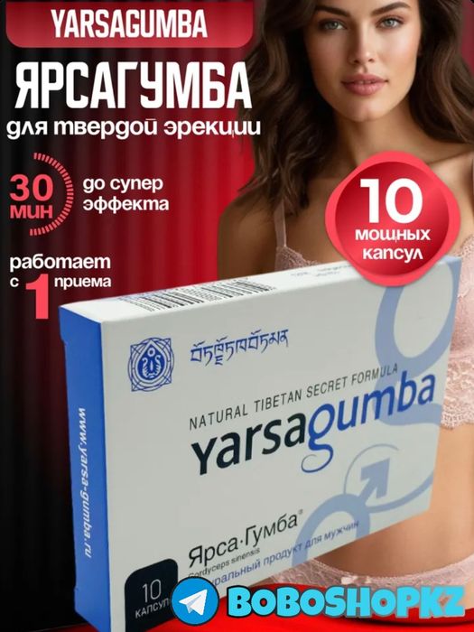 катализаторнаш паярсагума