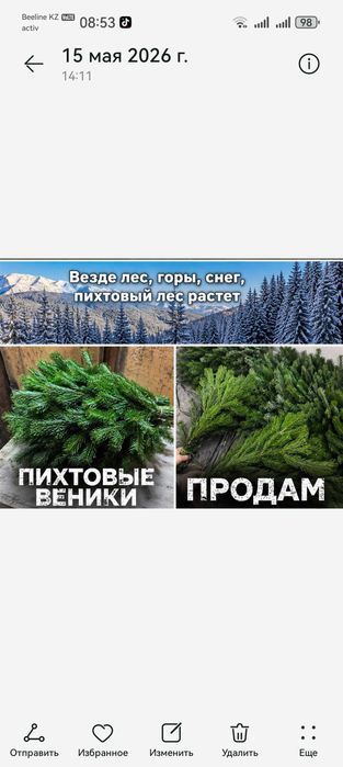 Продам пихтовые веники