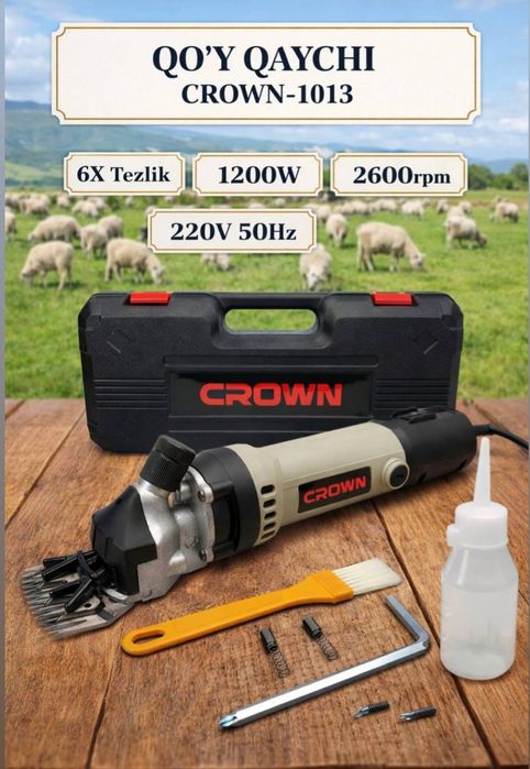 Qoy moshinka mashinka qoy