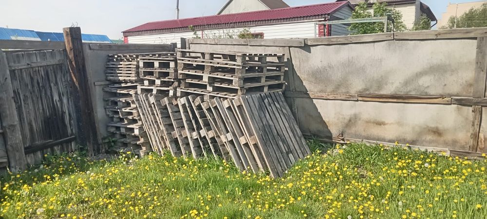 Продам поддоны около 20 шт