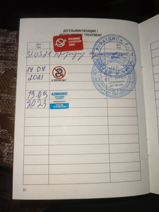 Продаётся взрослые шарпей кобель