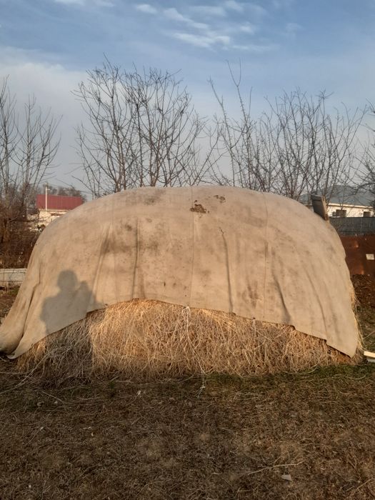 Сено, клевер       .