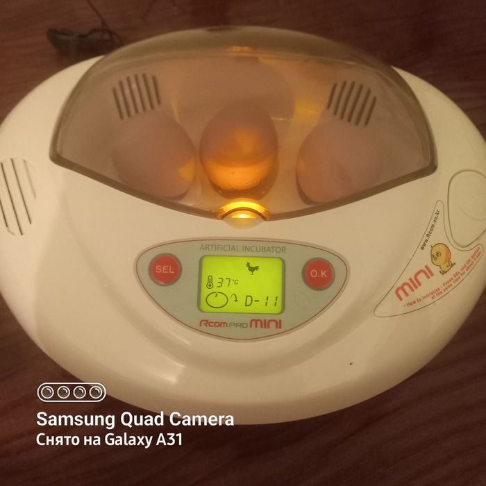 Продается инкубатор Rcom