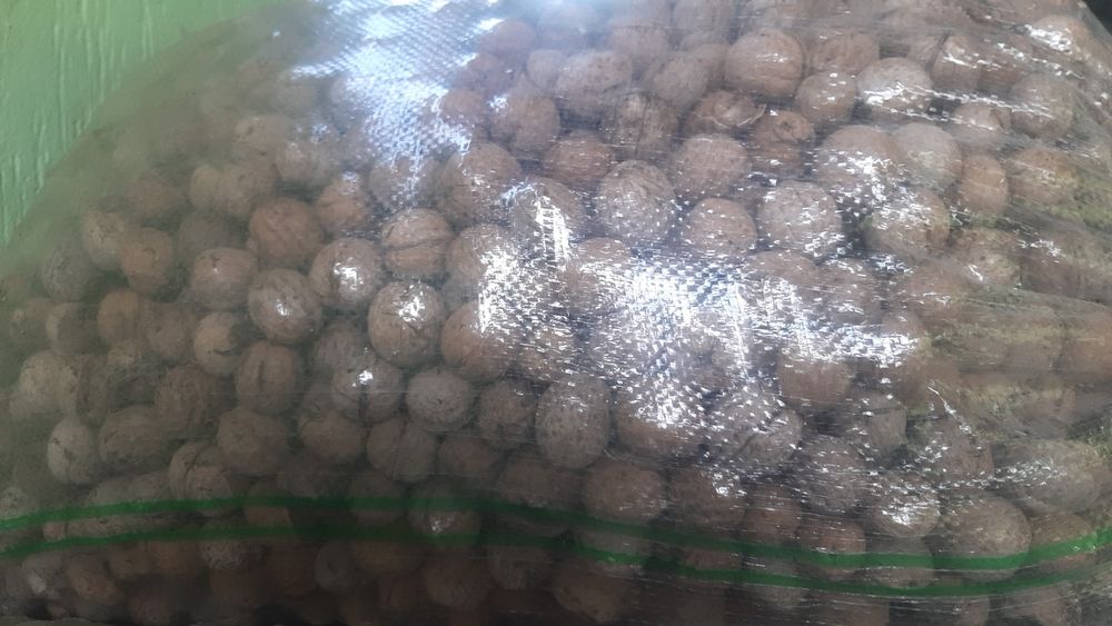 Орехи грецкие жангак