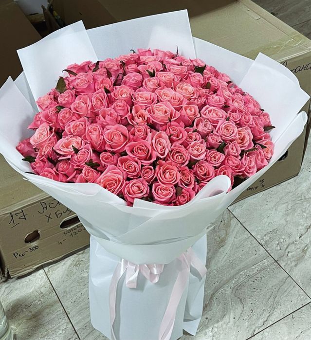 51 роза Голландские метр