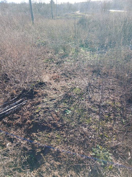 Земеделска земя(двор)