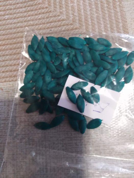 Продам семена огурца