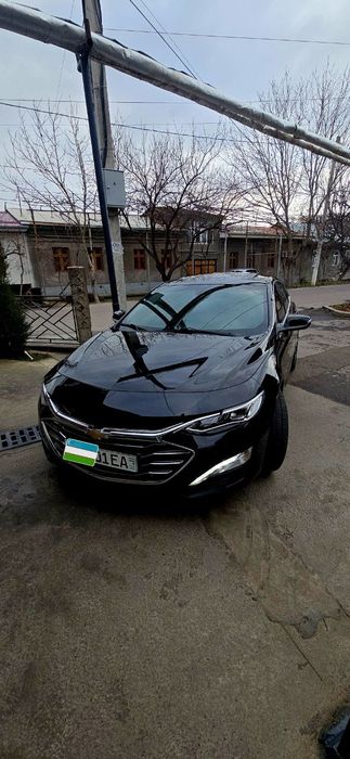 Malibu 2 2022 premier Premer  qora full navarot kraska tozza