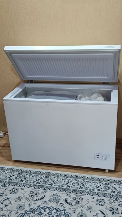 Морозильник Бируса пережаем другой город