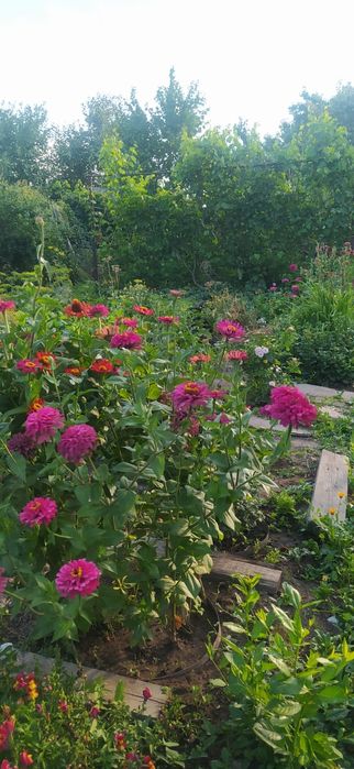 Продажа дачи "Здравница".