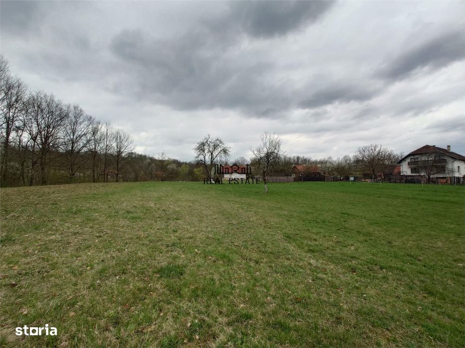 10 000 mp teren intravilan cu priveliste