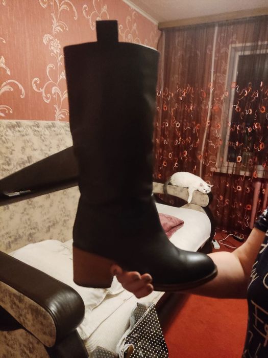 Сапоги женские демисезонные