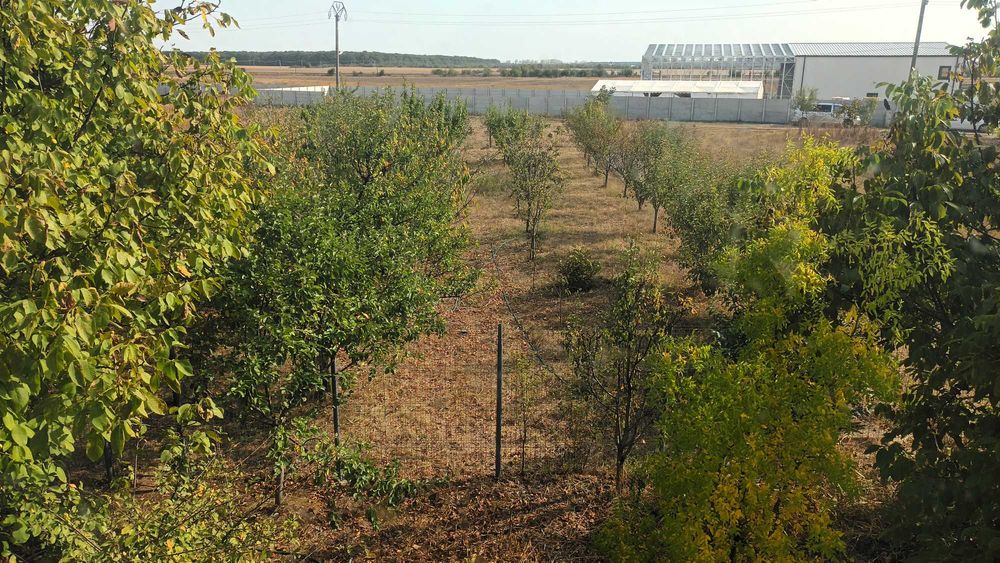 Moara Vlasiei , Casa cu teren 4250 m2