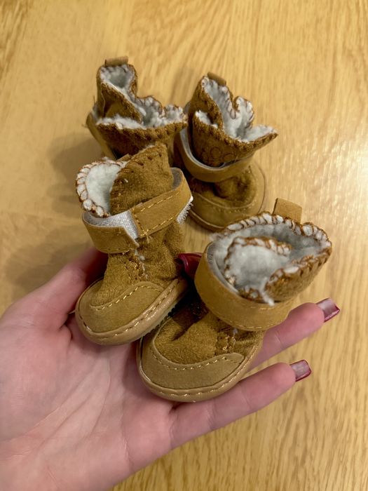 Обувки за дребна порода куче