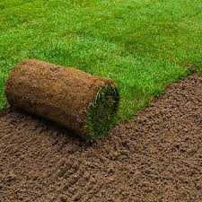 Газон рулонный живой туи ели озеленение  участка Алматы w97