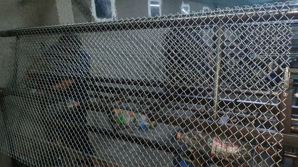 Сетка рабица setka забор