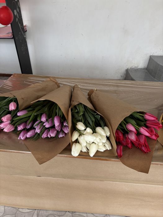 Тюльпаны на 8 марта