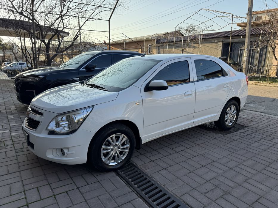 Kobilt 2023-yil sotiladi yoki arenda