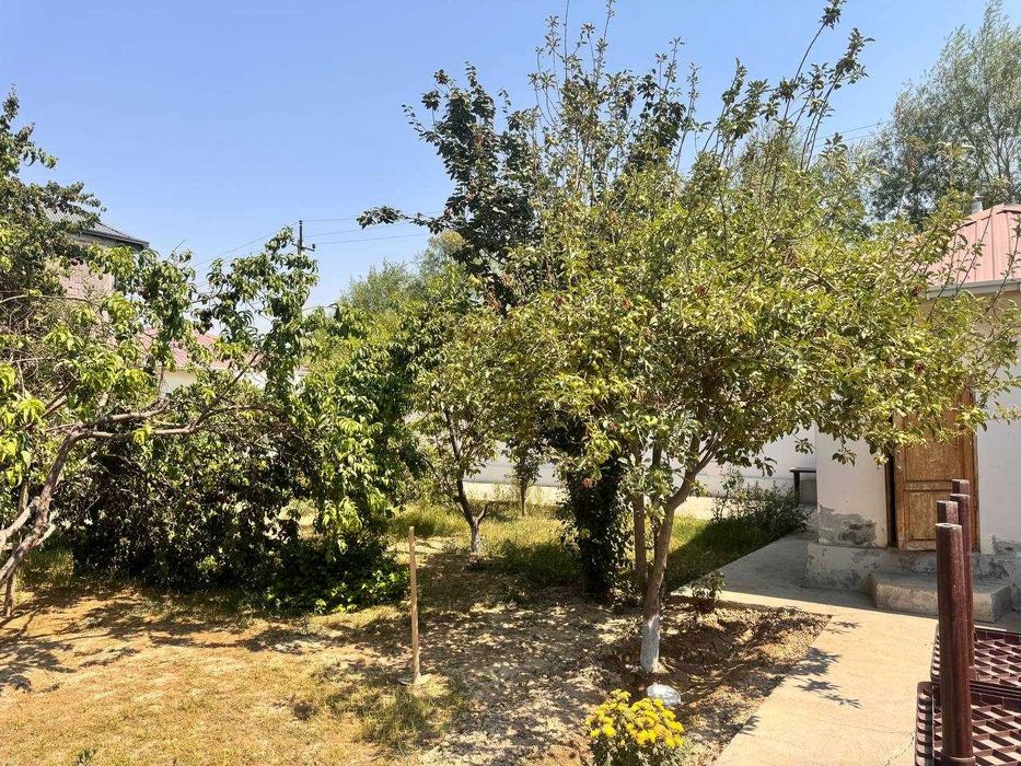 Yashash xonadon hamma sharoit mavjud