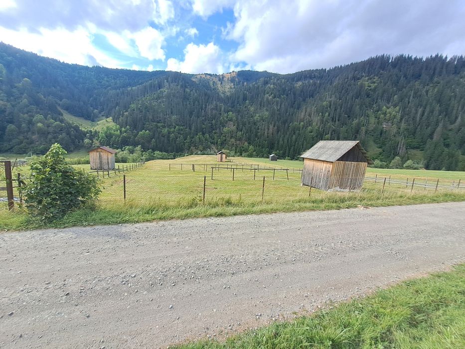 Teren intravilan Sunători