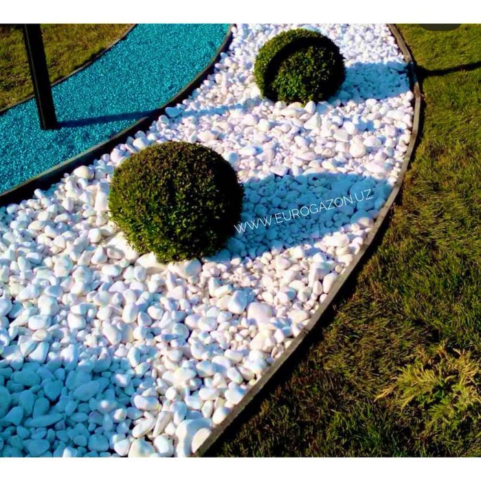 Газон: рулонный и посевной, ландшафтный дизайн, деревья и растения