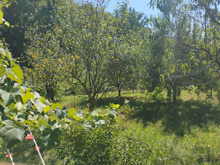 Casă de vânzare S+P+M în Valea Ursului