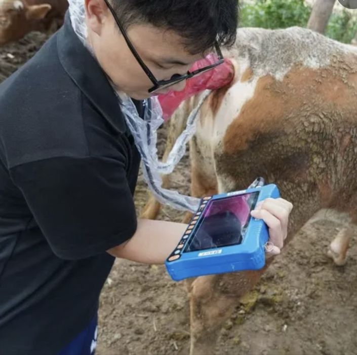 Ветеринарный УЗИ аппарат, диагностика животных, вет техника