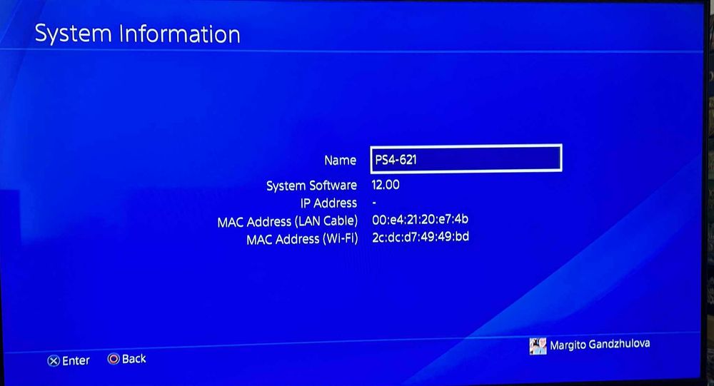 Playstation 4 с 2 контролера