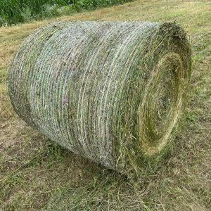 Lucerna ecologica